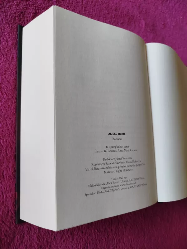 Aš esu Roma - SANTIAGO POSTEGUILLO, knyga 5