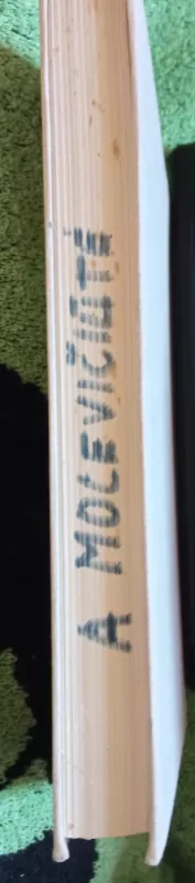 Poetika ir literatūros estetika - iki Hegelio Nuo Aristotelio, knyga 5