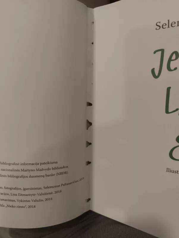 Jei rašysi laišką girion - Selemonas Paltanavičius, knyga 6