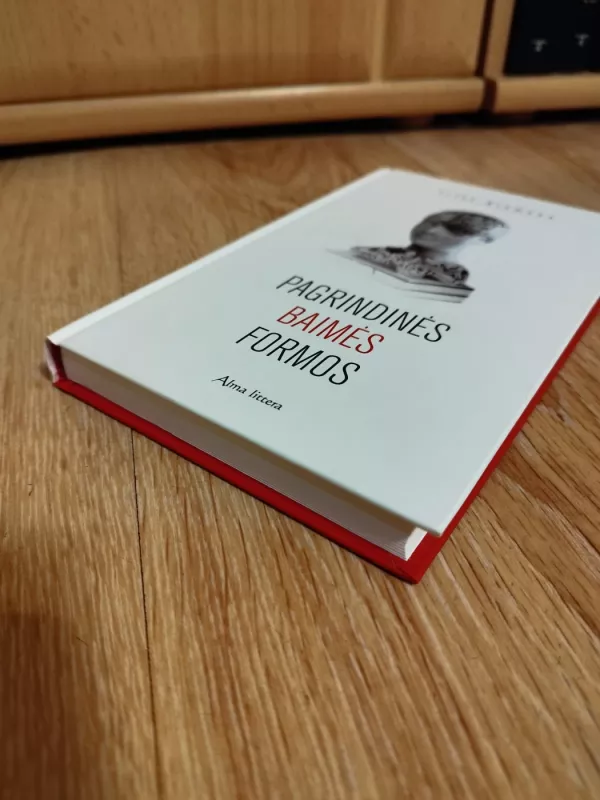 Pagrindinės baimės formos - Fritz Riemann, knyga 6