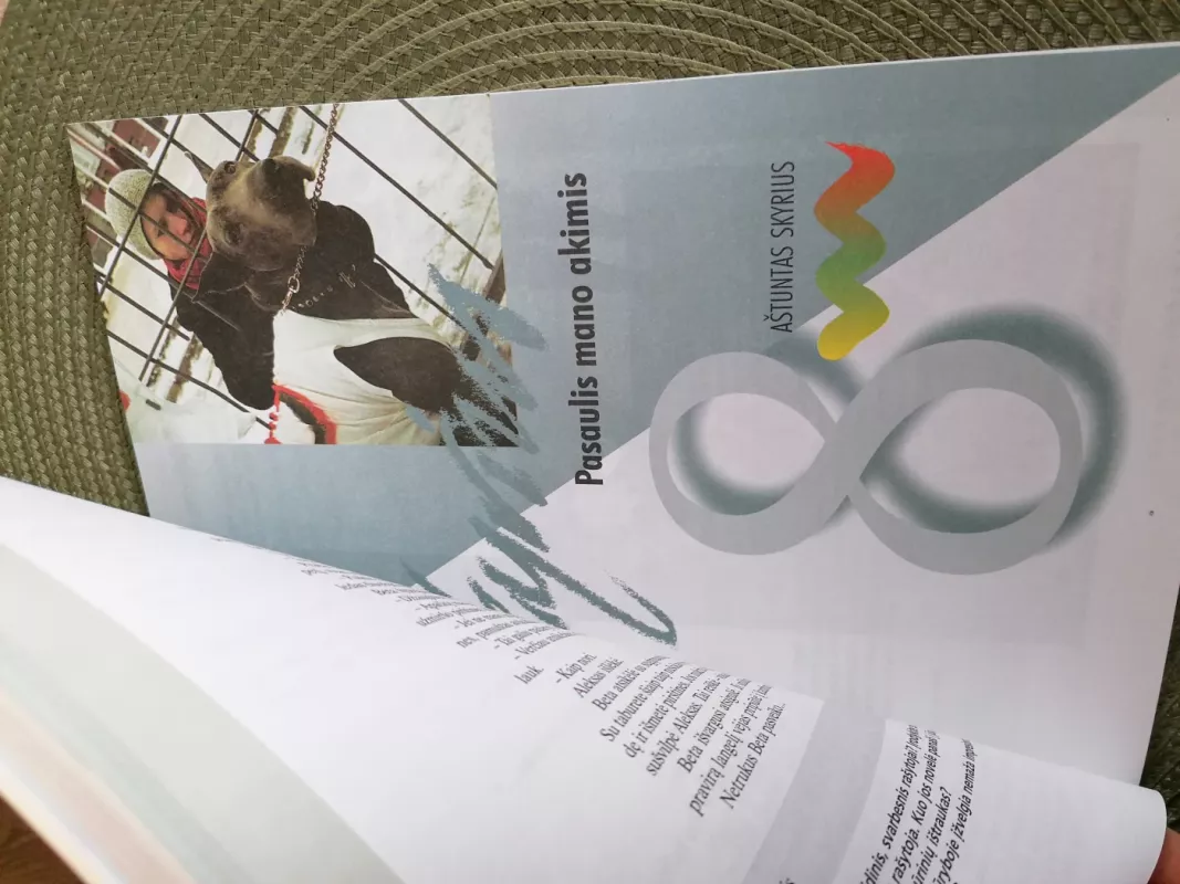 Prie versmės. Mokomės lietuvių kalbos. Vadovėlis 9 klasei, 2 dalis - Daiva Mickevičienė, knyga 5