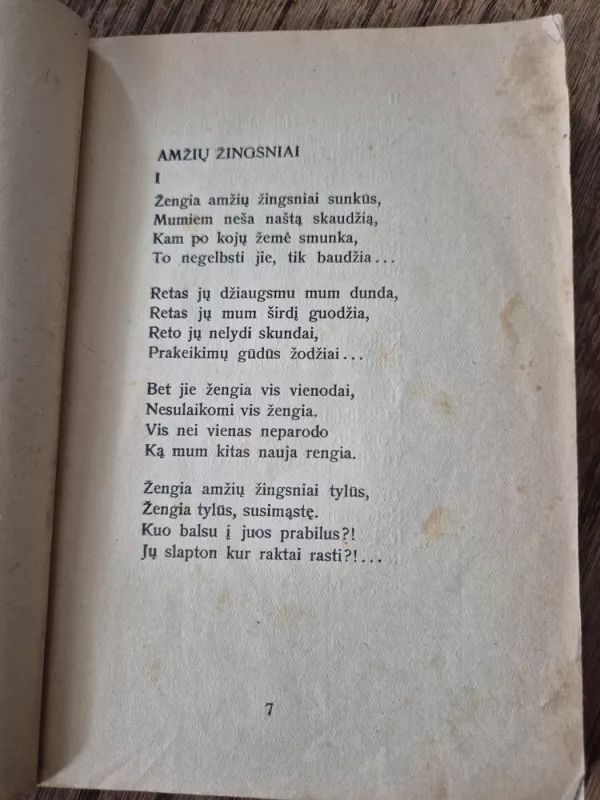 Amžių žingsniai. Eilėraščiai - Liudas Gira, knyga 4
