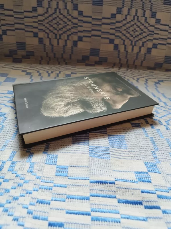 John Williams „Stouneris“ - John Williams, knyga 5