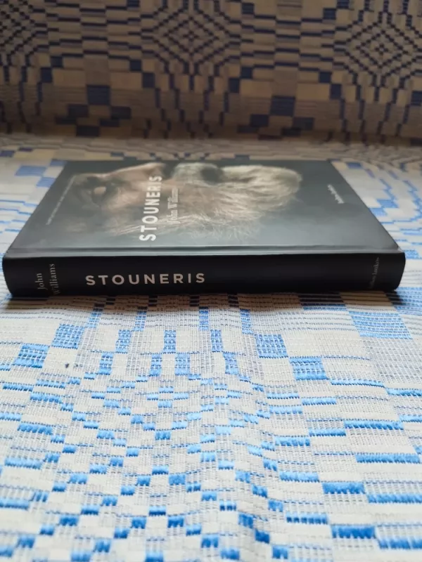 John Williams „Stouneris“ - John Williams, knyga 4