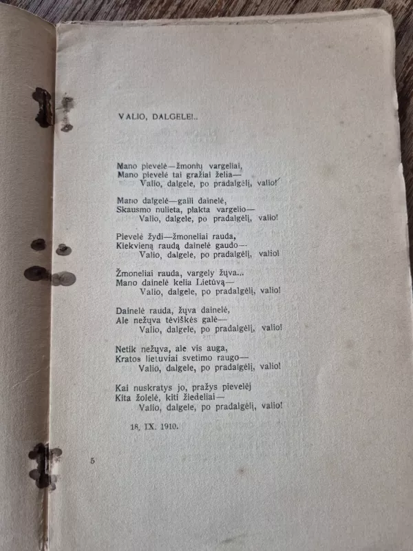 Žalioji pievelė. Pirmas leidimas 1911 m - Liusas Gira, knyga 5