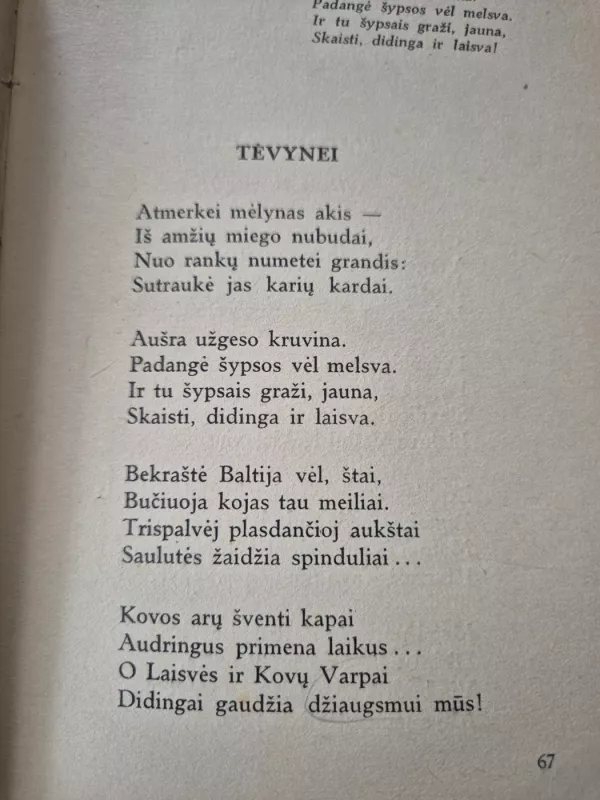 Širdis ir plienas - Liudas Sakalinis, knyga 5