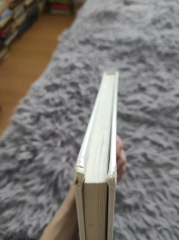 Didžioji Ravensburgerio piešimo knyga - Bagnall Hille, knyga 3