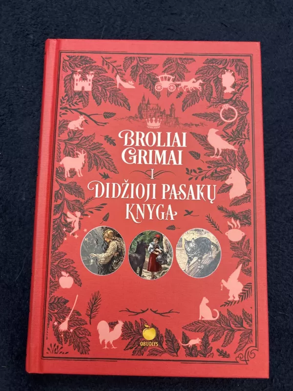 Broliai Grimai Didžioji pasakų knyga -  Broliai Grimai, knyga 4