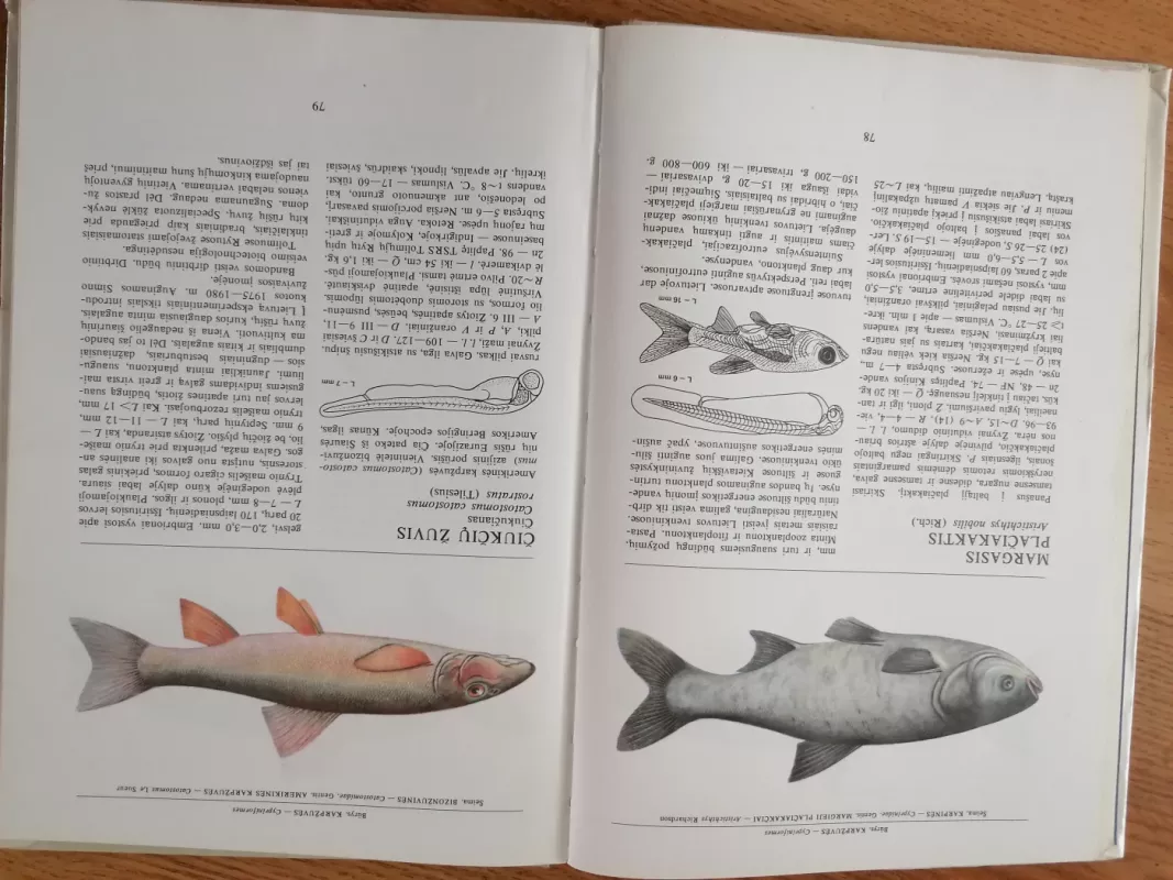 Lietuvos žuvys - Juozas Virbickas, knyga 4