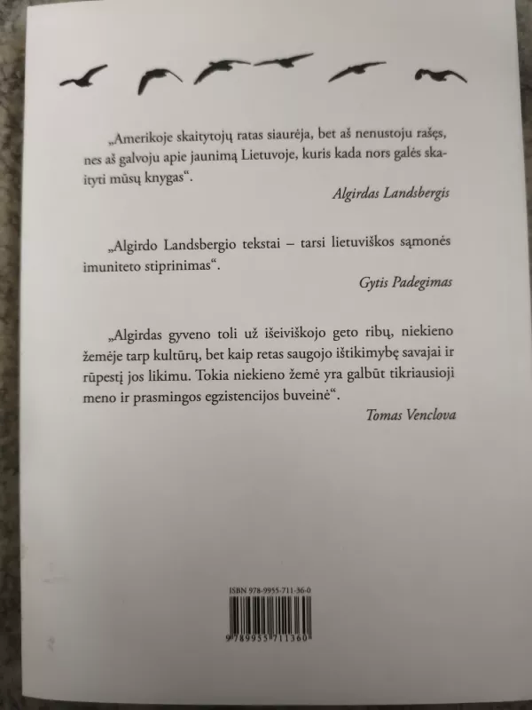 Kelionė - Algirdas Landsbergis, knyga 2