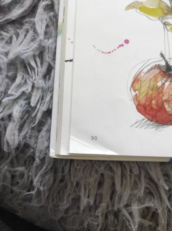 Didžioji Ravensburgerio piešimo knyga - Bagnall Hille, knyga 5