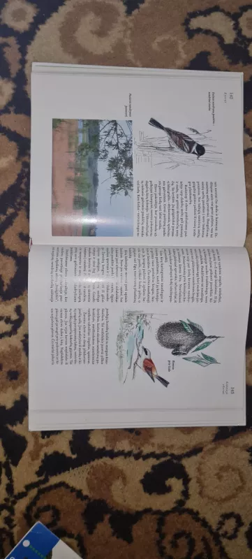 Lietuvos gamta. Skaitiniai. - R. Kazlauskas, D.  Kazlauskienė, knyga 4