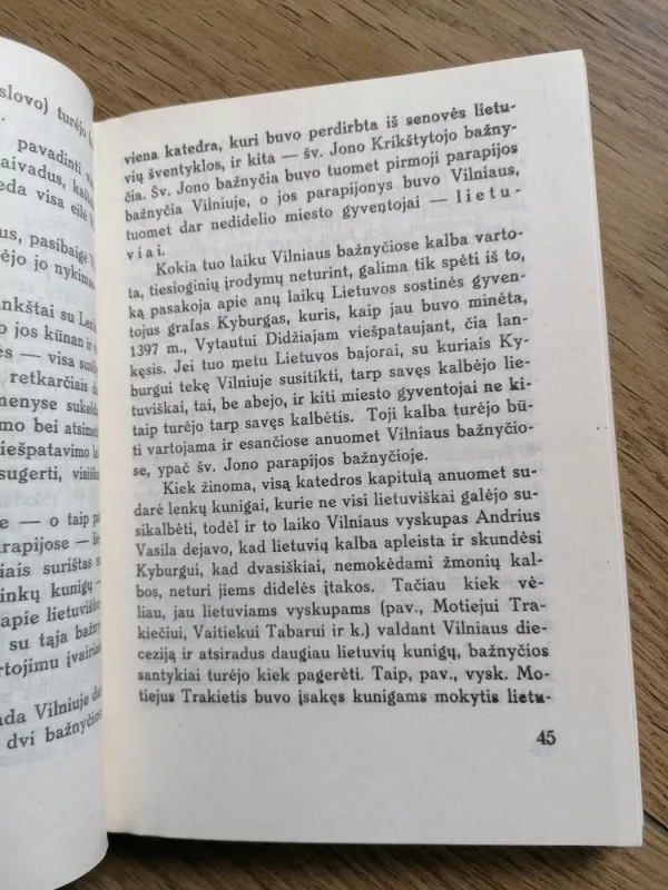 Vilniaus padavimai - P. Vingis, knyga 6