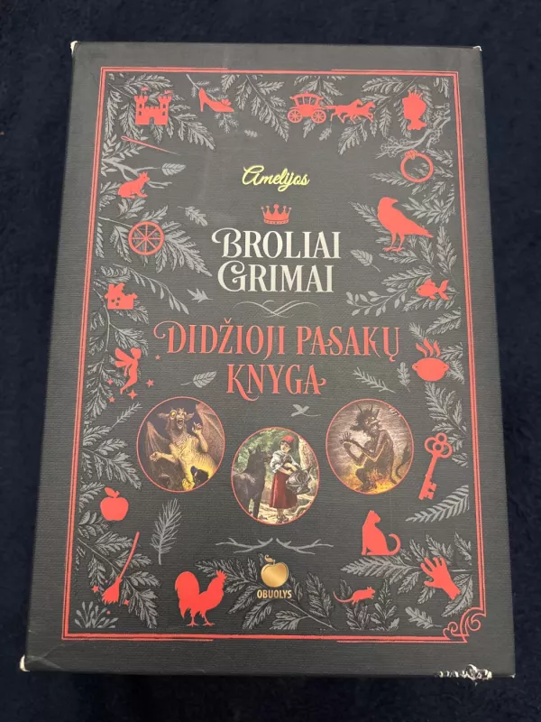 Broliai Grimai Didžioji pasakų knyga -  Broliai Grimai, knyga 2