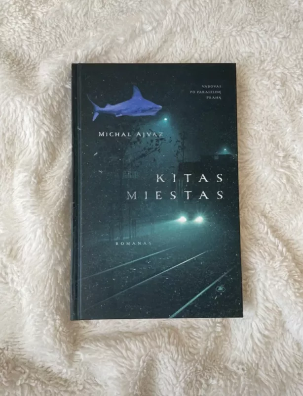 Kitas miestas - Michal Ajvaz, knyga 2