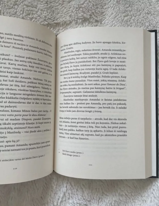 Florida - Lauren Groff, knyga 4