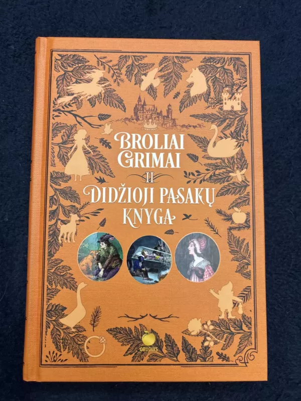 Broliai Grimai Didžioji pasakų knyga -  Broliai Grimai, knyga 5