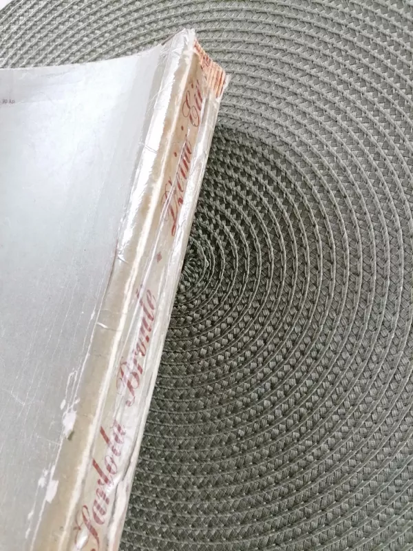 Džeinė Eir - Brontė Šarlota, knyga 6