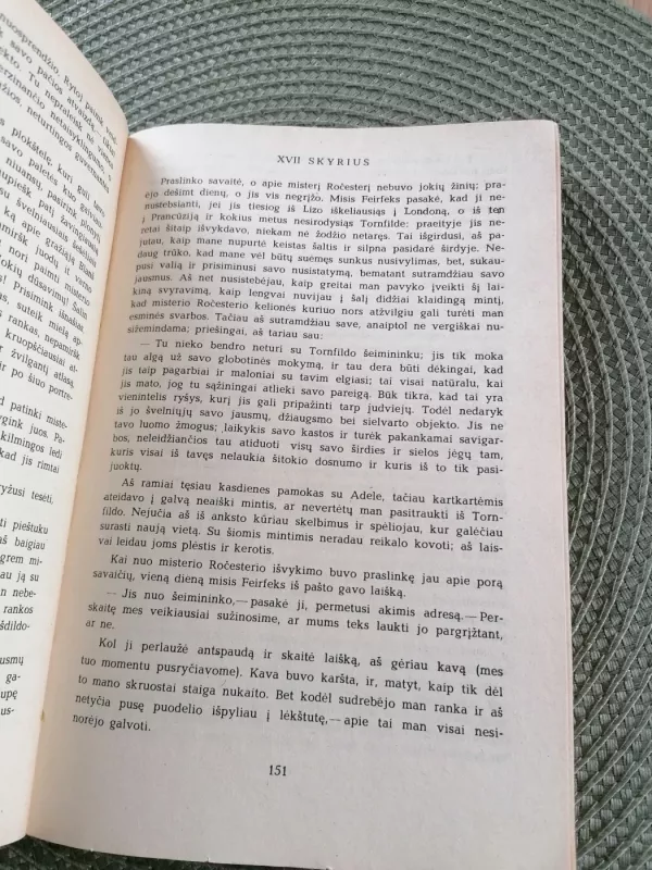 Džeinė Eir - Brontė Šarlota, knyga 5