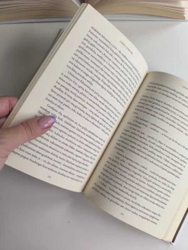 Laukinė kelionė, kuri išlaisvins moters sielą - Cheryl Strayed, knyga 5