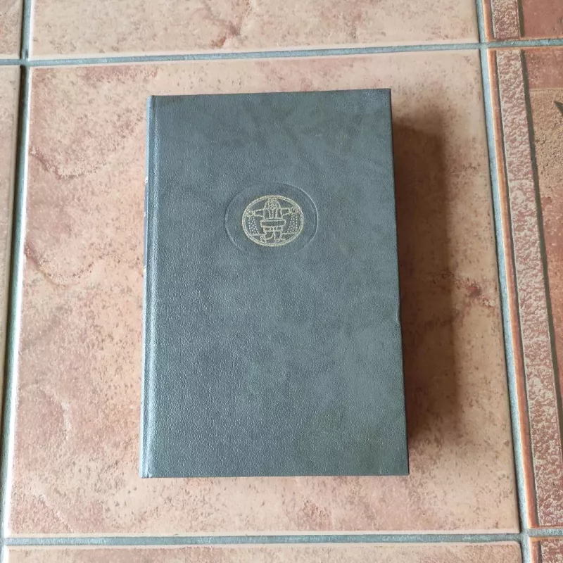 Sužadėtiniai - Alesandras Mandzonis, knyga 3