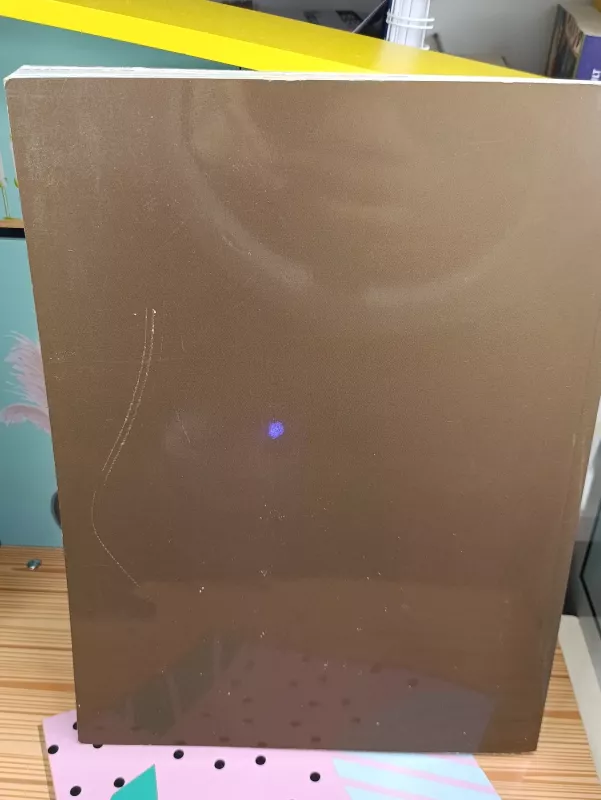 Miškas ir mes 2013 - Irena Šalkauskienė, knyga 3