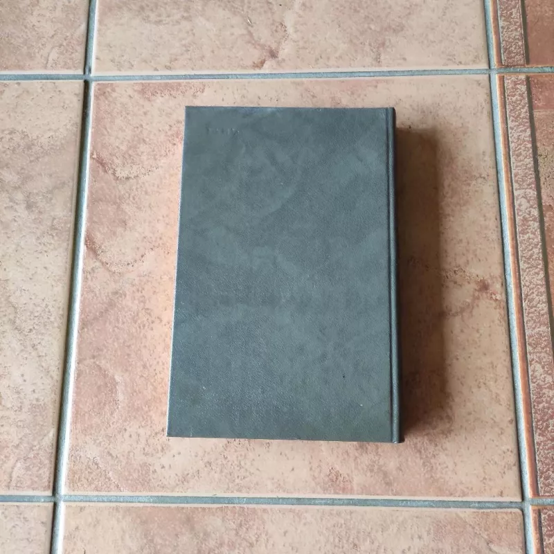 Sužadėtiniai - Alesandras Mandzonis, knyga 5