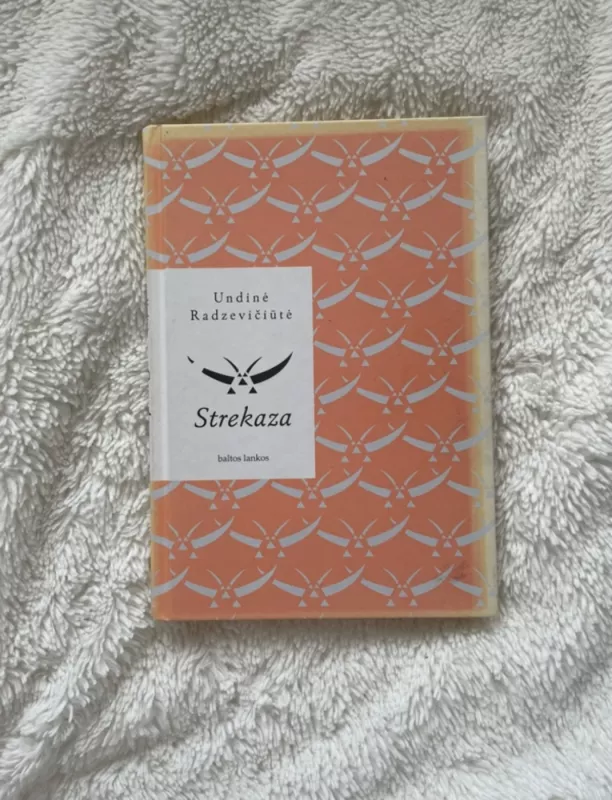 Strekaza - Undinė Radzevičiūtė, knyga 2