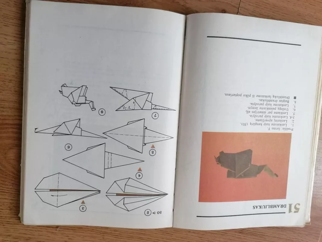 Susipažinkite - origamis - J. Paulionytė, knyga 6