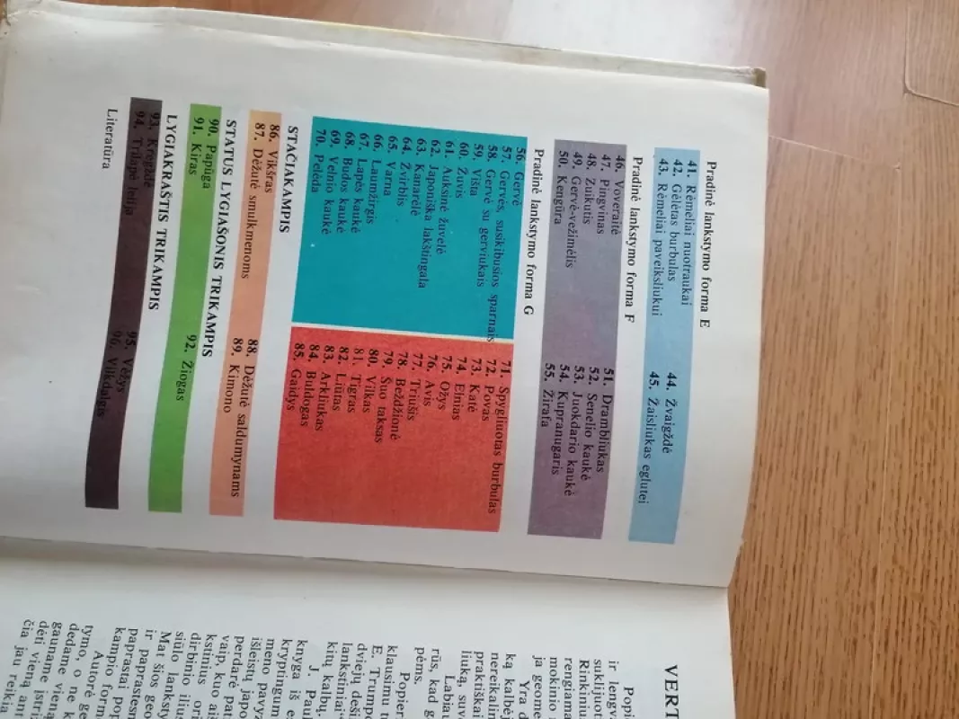 Susipažinkite - origamis - J. Paulionytė, knyga 4