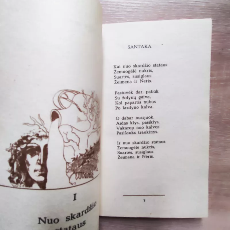 Į kelią, į kraštą - Mykolas Karčiauskas, knyga 5