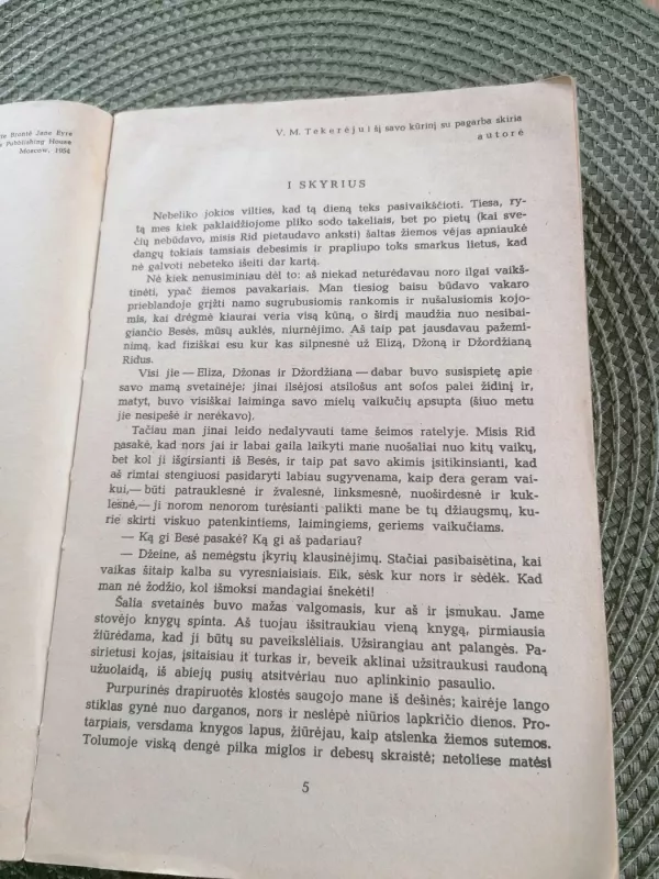 Džeinė Eir - Brontė Šarlota, knyga 4