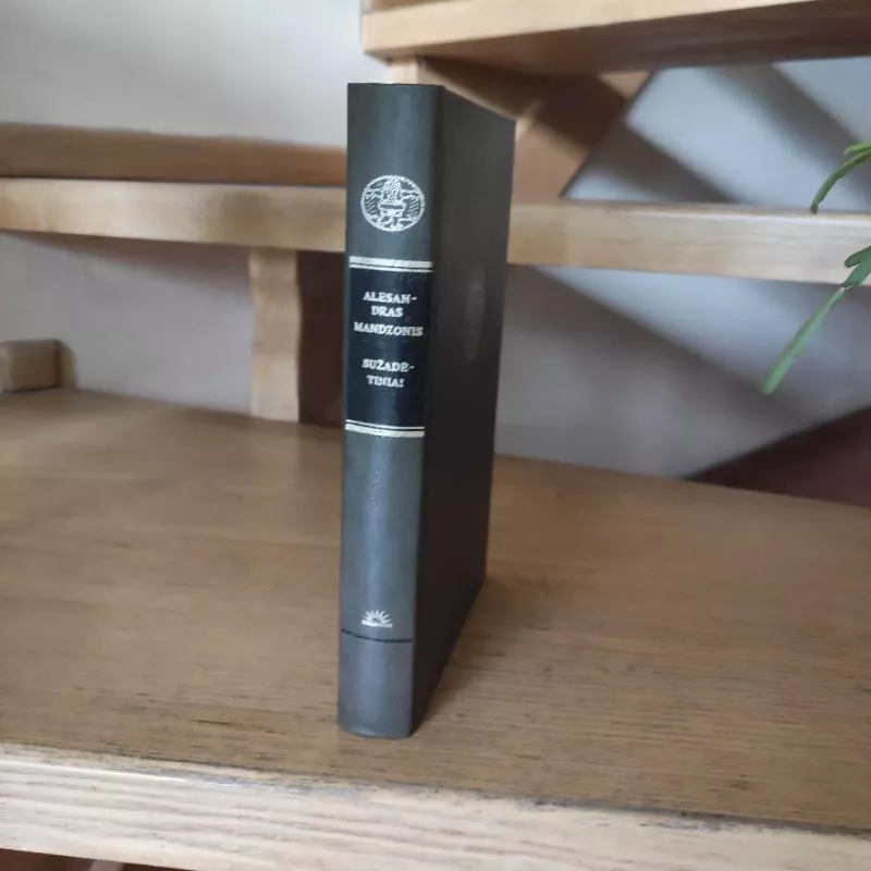 Sužadėtiniai - Alesandras Mandzonis, knyga 4