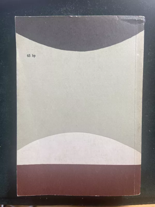 Liepų ratas - Jurgis Kunčinas, knyga 4