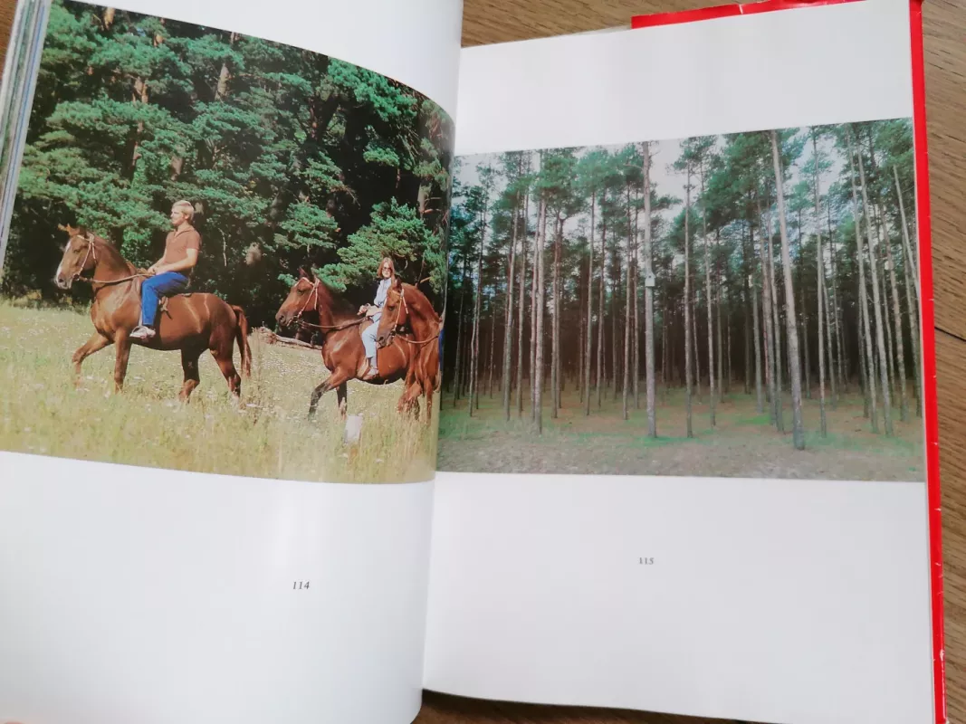 Palanga - Zinas Kazenas, knyga 6