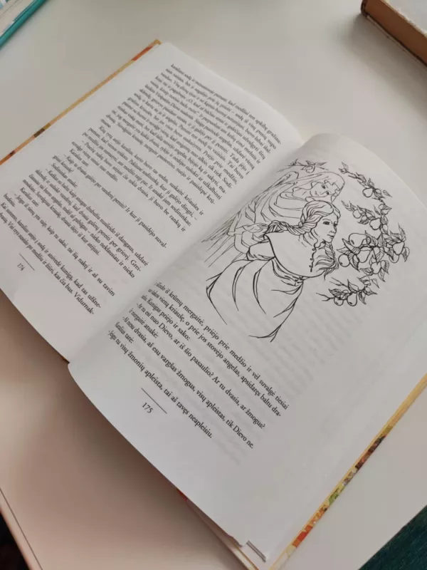 Vaikų ir namų pasakos (I tomas) -  Broliai Grimai, knyga 3