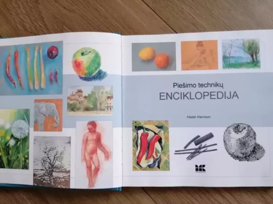 Piešimo technikų enciklopedija. 50 piešimo technikų paslaptis - Hazel Harrison, knyga 3