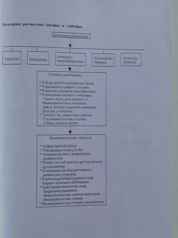 Strateginis valdymas - Virginijus Tamaševičius, knyga 6