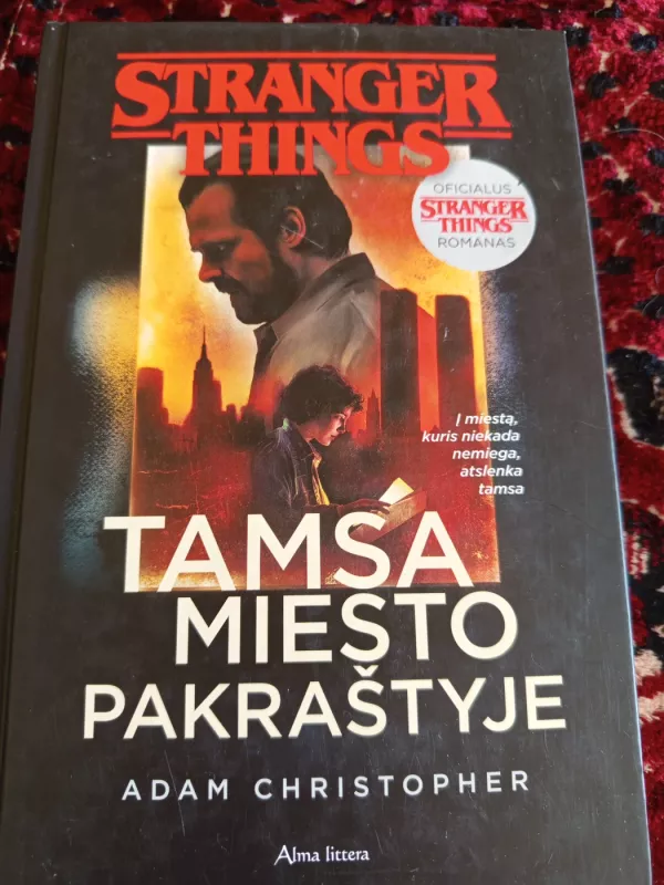 Tamsa miesto pakraštyje - Christopher Adam, knyga 3