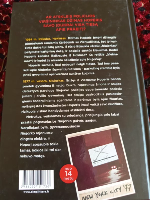 Tamsa miesto pakraštyje - Christopher Adam, knyga 2