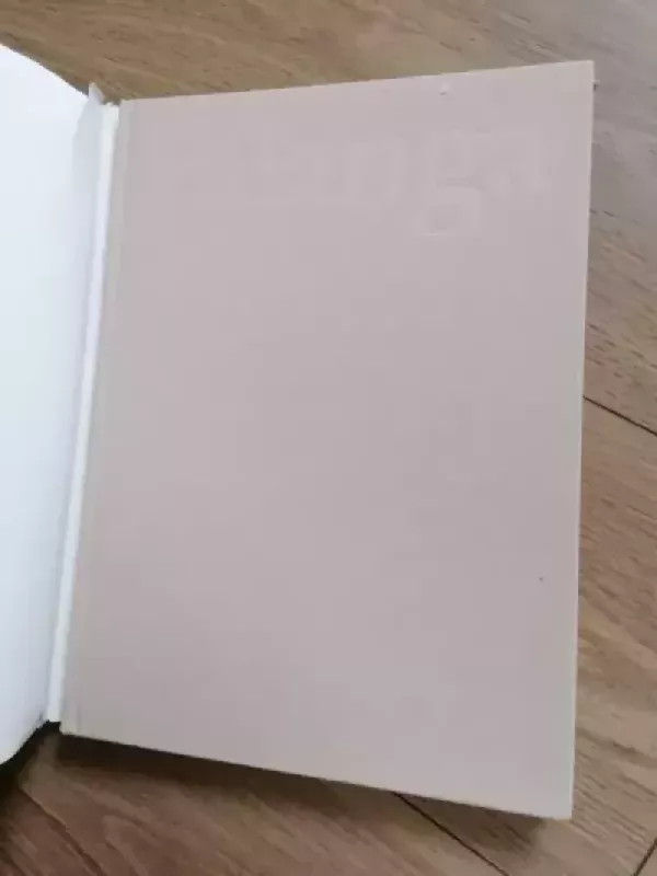 Palanga - Zinas Kazenas, knyga 3