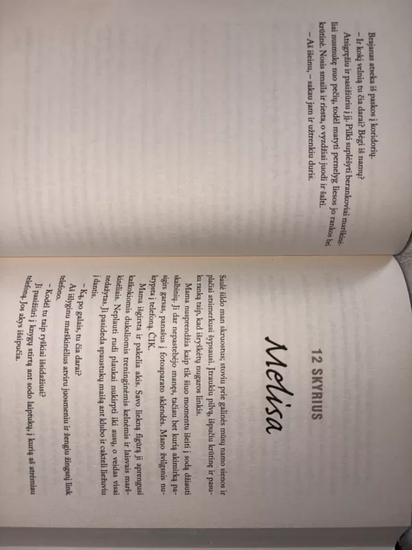 Mano slaptas youtube’o gyvenimas - Charlotte Seager, knyga 4