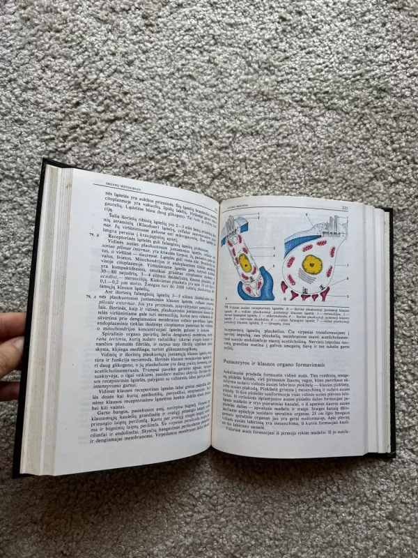 Histologija - Autorių Kolektyvas, knyga 4