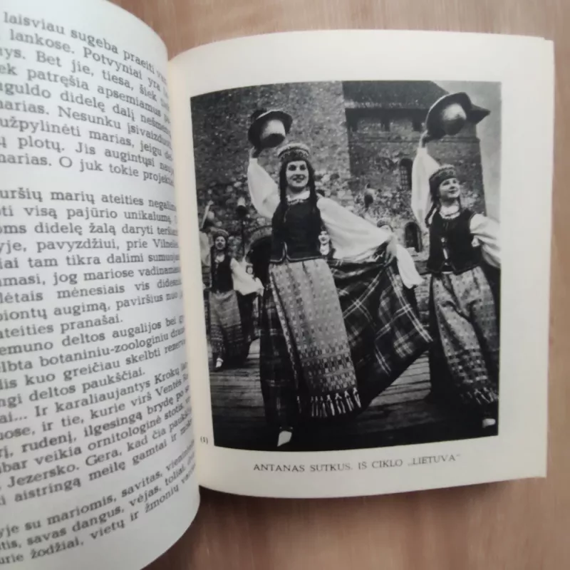 Metai ir akimirkos - Laimonas Inis, knyga 3