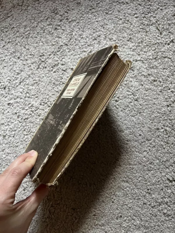 Paskje šeimos kronika - Žoržas Diuamelis, knyga 6