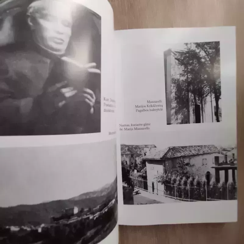 Šventoji Marija Dominika Mazzarello - M. P. Giudici, knyga 5