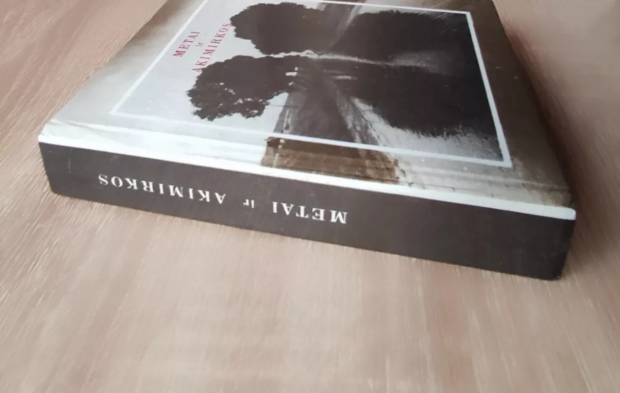 Metai ir akimirkos - Laimonas Inis, knyga 4