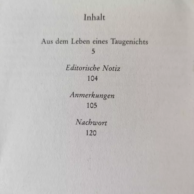 Aus dem Leben eines Taugenichts - Joseph von Eichendorff, knyga 5