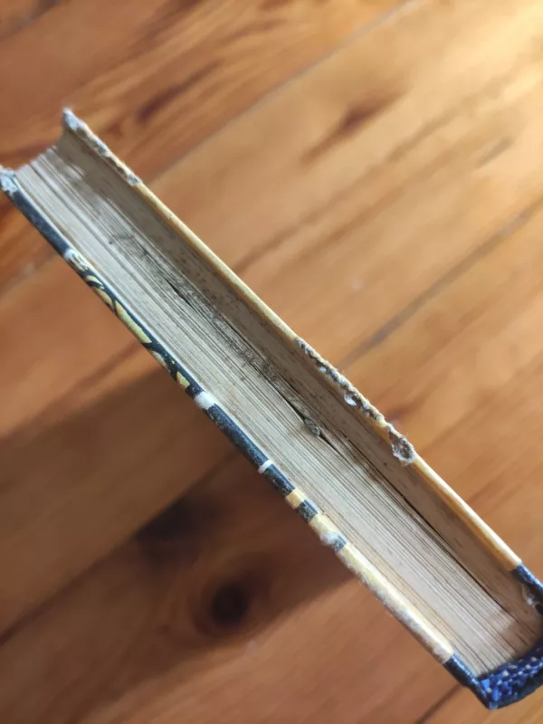 Tik publikai. Kru Abatė - Miurielė Spark, knyga 3