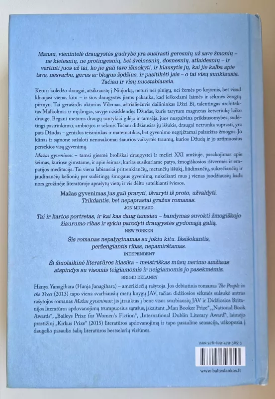 Mažas gyvenimas - Hanya Yanagihara, knyga 4